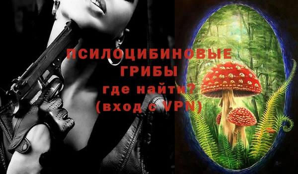 хмурый Волоколамск
