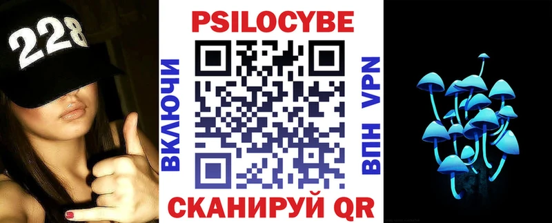 Купить закладки  Чита  Галлюциногенные грибы Psilocybine cubensis 